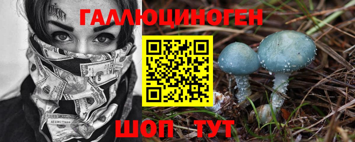 Псилоцибиновые грибы Psilocybine cubensis Гуково